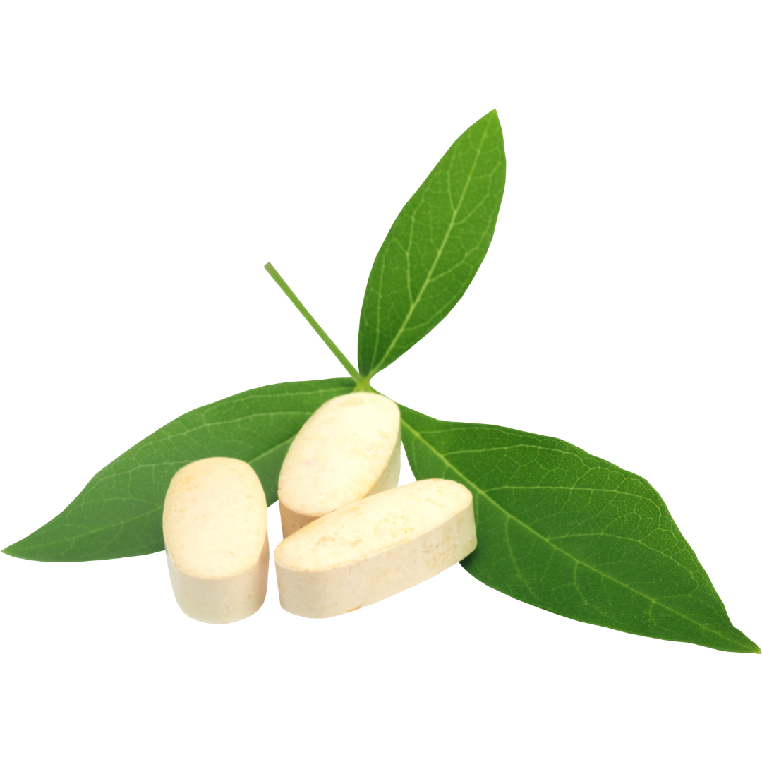 Vermifuge humain naturel