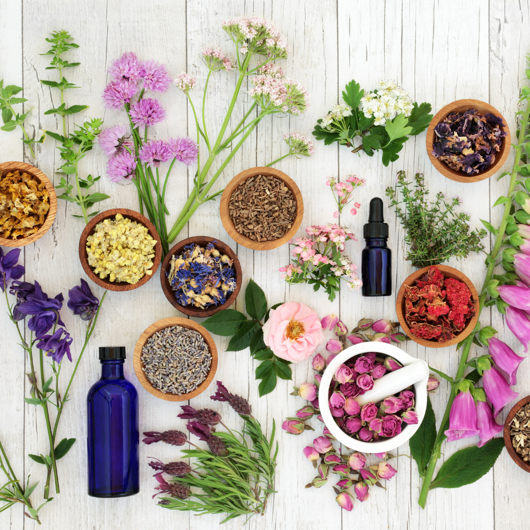 Plantes à effet miroir